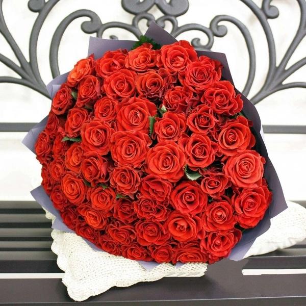 Красная роза Эквадор 51 шт [№  247257]