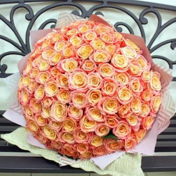 Букет Оранжевые розы Эквадор 101 шт (50 см) артикул  247838
